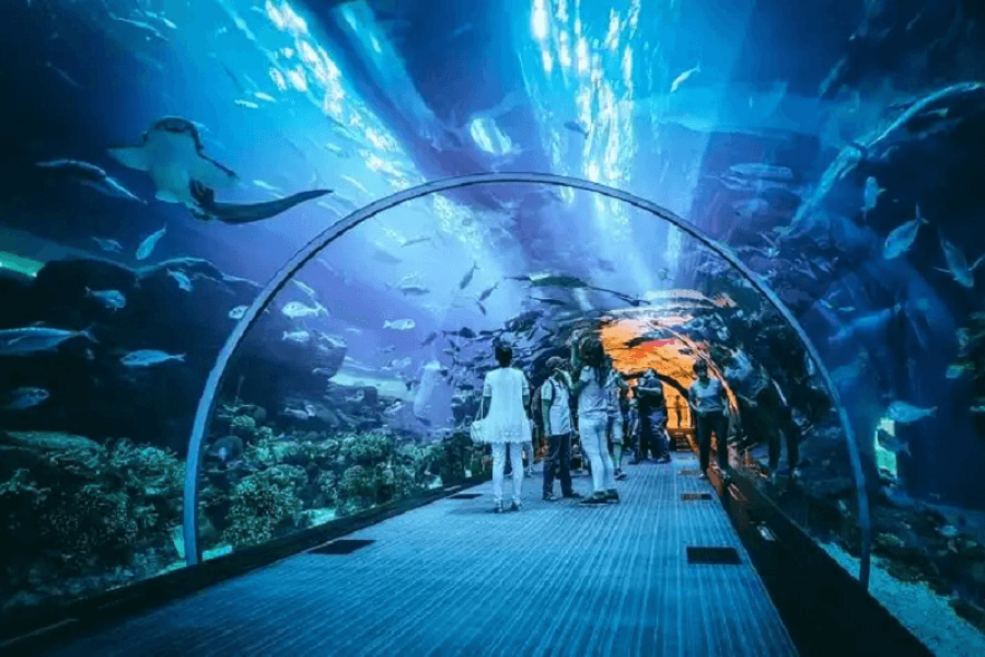 124th Floor with Dubai Mall Aquarium Combo Tickets